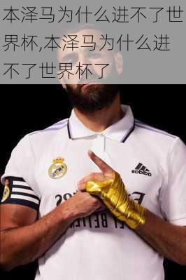本泽马为什么进不了世界杯,本泽马为什么进不了世界杯了