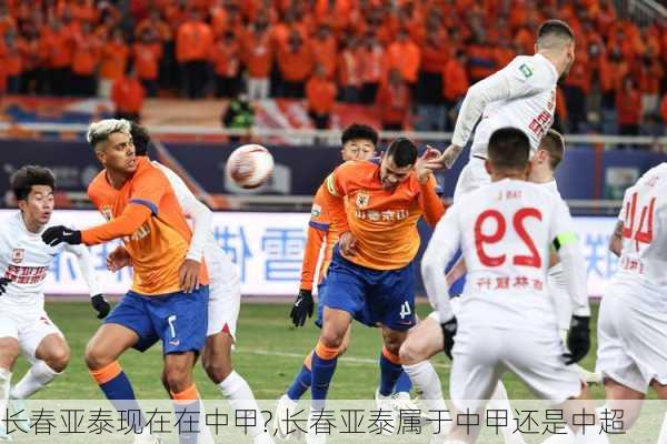 长春亚泰现在在中甲?,长春亚泰属于中甲还是中超