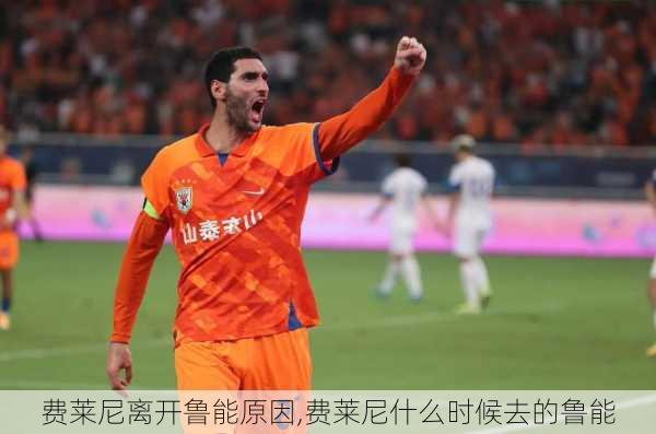 费莱尼离开鲁能原因,费莱尼什么时候去的鲁能