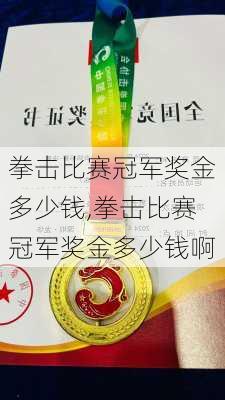 拳击比赛冠军奖金多少钱,拳击比赛冠军奖金多少钱啊