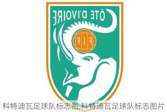 科特迪瓦足球队标志图,科特迪瓦足球队标志图片