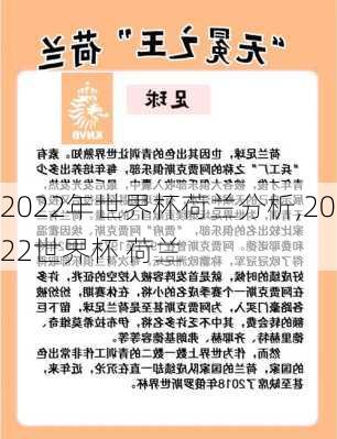 2022年世界杯荷兰分析,2022世界杯 荷兰