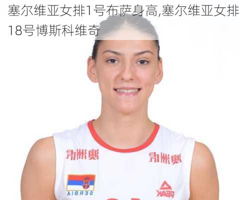 塞尔维亚女排1号布萨身高,塞尔维亚女排18号博斯科维奇