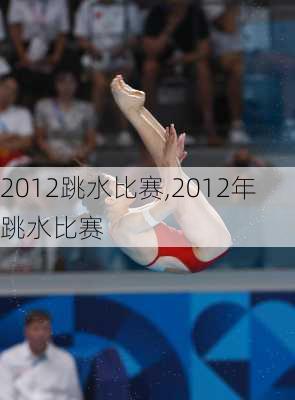 2012跳水比赛,2012年跳水比赛