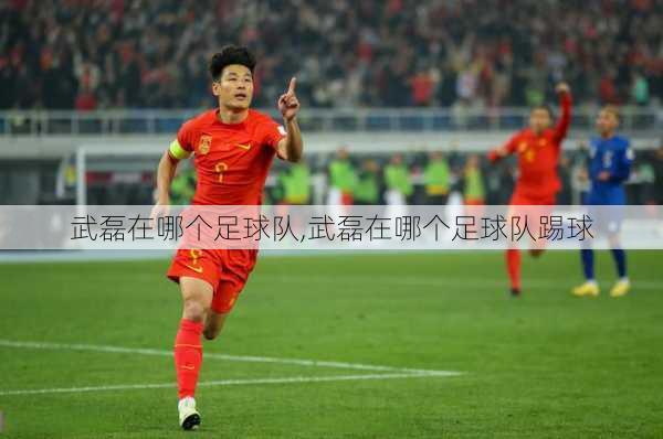 武磊在哪个足球队,武磊在哪个足球队踢球