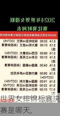 世界女排锦标赛决赛是哪天,