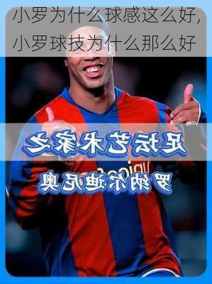 小罗为什么球感这么好,小罗球技为什么那么好