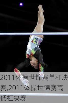 2011体操世锦赛单杠决赛,2011体操世锦赛高低杠决赛