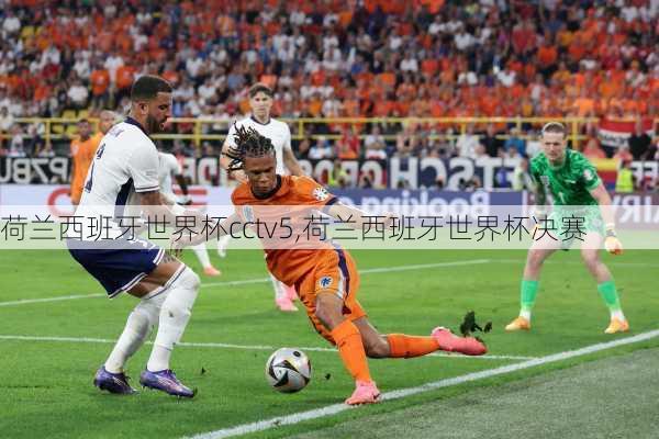 荷兰西班牙世界杯cctv5,荷兰西班牙世界杯决赛