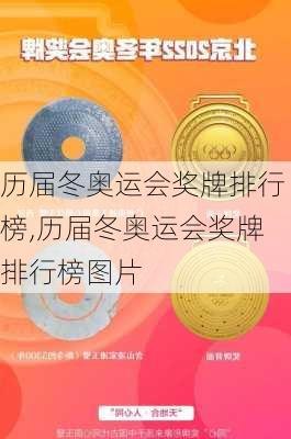 历届冬奥运会奖牌排行榜,历届冬奥运会奖牌排行榜图片