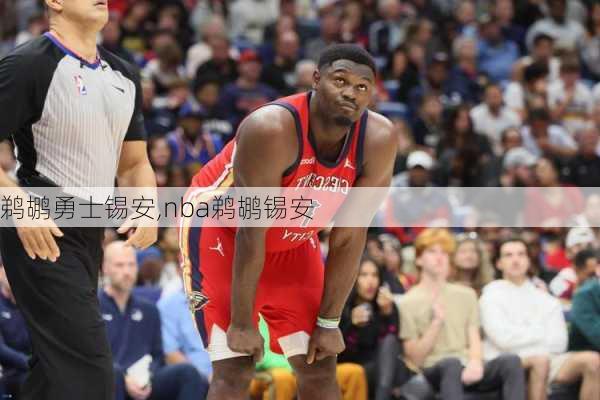 鹈鹕勇士锡安,nba鹈鹕锡安