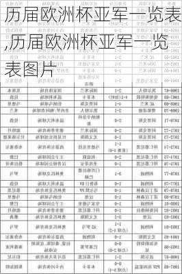 历届欧洲杯亚军一览表,历届欧洲杯亚军一览表图片