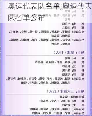 奥运代表队名单,奥运代表队名单公布