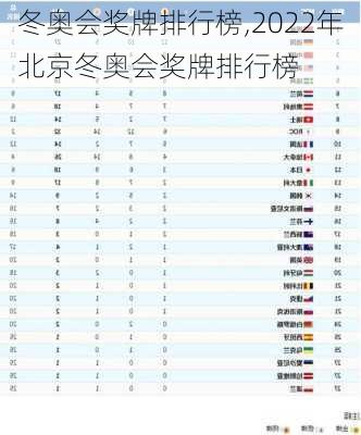 冬奥会奖牌排行榜,2022年北京冬奥会奖牌排行榜