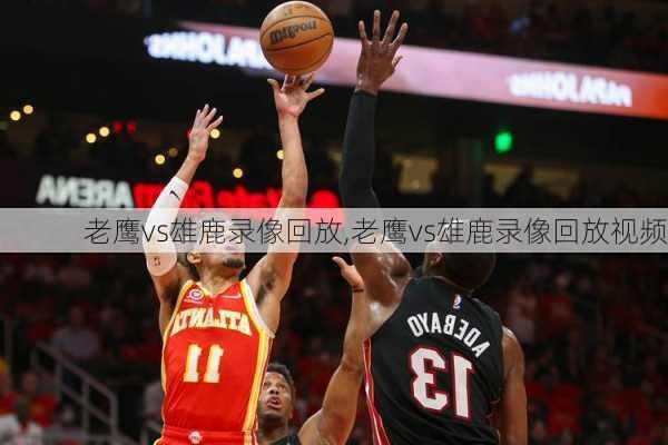 老鹰vs雄鹿录像回放,老鹰vs雄鹿录像回放视频