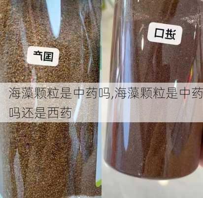 海藻颗粒是中药吗,海藻颗粒是中药吗还是西药