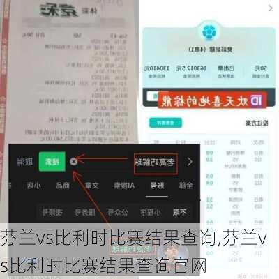 芬兰vs比利时比赛结果查询,芬兰vs比利时比赛结果查询官网