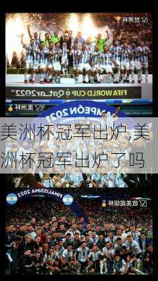 美洲杯冠军出炉,美洲杯冠军出炉了吗