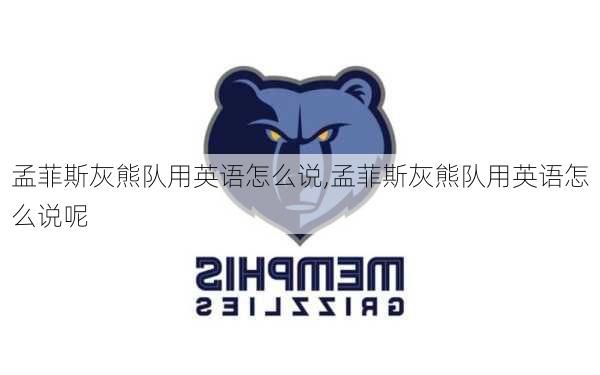 孟菲斯灰熊队用英语怎么说,孟菲斯灰熊队用英语怎么说呢