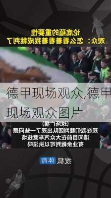 德甲现场观众,德甲现场观众图片