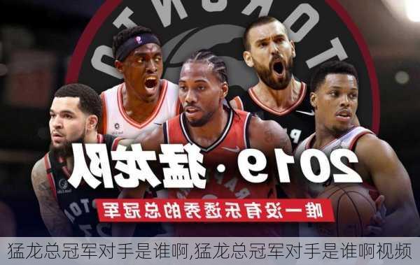 猛龙总冠军对手是谁啊,猛龙总冠军对手是谁啊视频
