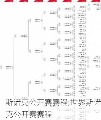 斯诺克公开赛赛程,世界斯诺克公开赛赛程