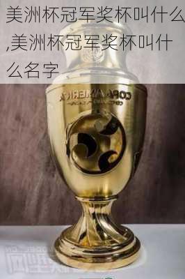 美洲杯冠军奖杯叫什么,美洲杯冠军奖杯叫什么名字