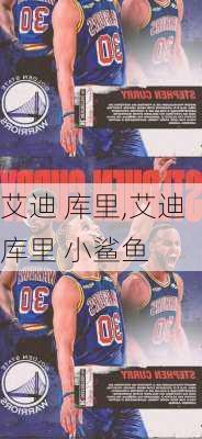 艾迪 库里,艾迪库里 小鲨鱼