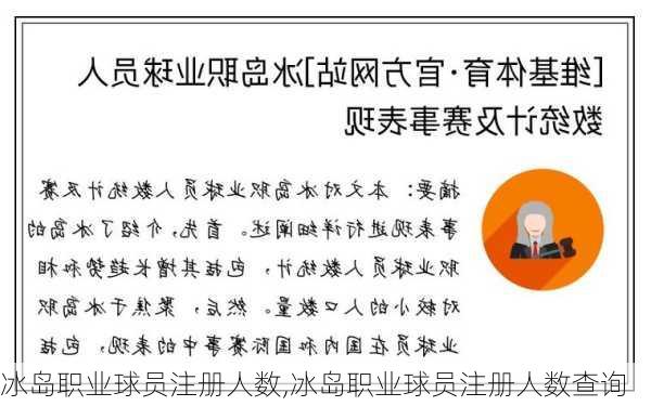 冰岛职业球员注册人数,冰岛职业球员注册人数查询