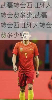 武磊转会西班牙人转会费多少,武磊转会西班牙人转会费多少钱