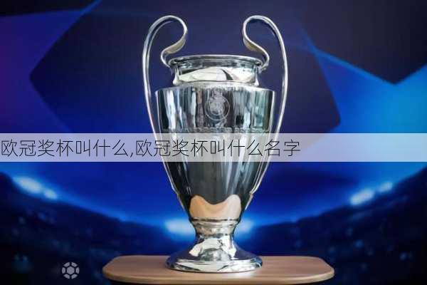 欧冠奖杯叫什么,欧冠奖杯叫什么名字