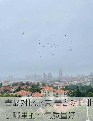 青岛对比北京,青岛对比北京哪里的空气质量好