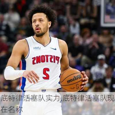 底特律活塞队实力,底特律活塞队现在名称