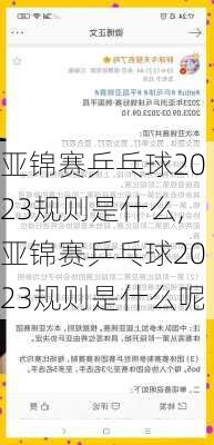 亚锦赛乒乓球2023规则是什么,亚锦赛乒乓球2023规则是什么呢