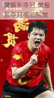 樊振东夺冠,樊振东夺冠视频回放