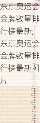 东京奥运会金牌数量排行榜最新,东京奥运会金牌数量排行榜最新图片