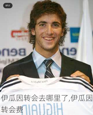 伊瓜因转会去哪里了,伊瓜因转会费