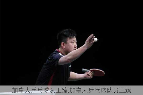 加拿大乒乓球队王臻,加拿大乒乓球队员王臻