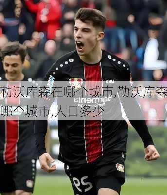勒沃库森在哪个城市,勒沃库森哪个城市,人口多少
