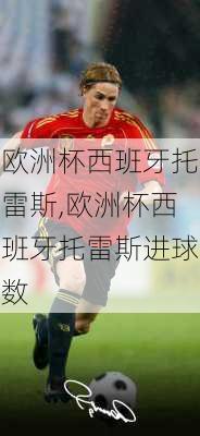 欧洲杯西班牙托雷斯,欧洲杯西班牙托雷斯进球数