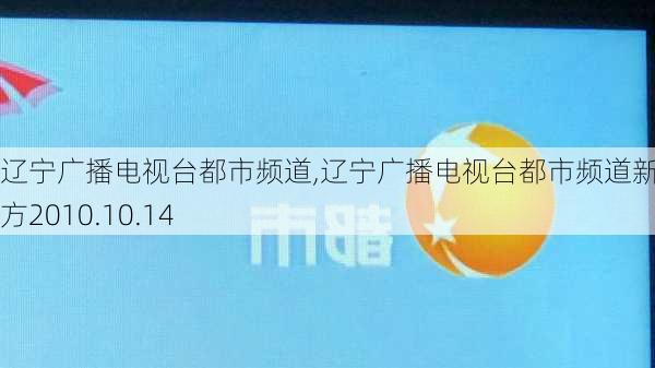 辽宁广播电视台都市频道,辽宁广播电视台都市频道新闻正前方2010.10.14