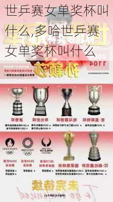 世乒赛女单奖杯叫什么,多哈世乒赛女单奖杯叫什么