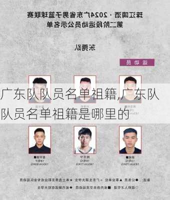 广东队队员名单祖籍,广东队队员名单祖籍是哪里的