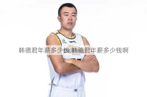 韩德君年薪多少钱,韩德君年薪多少钱啊