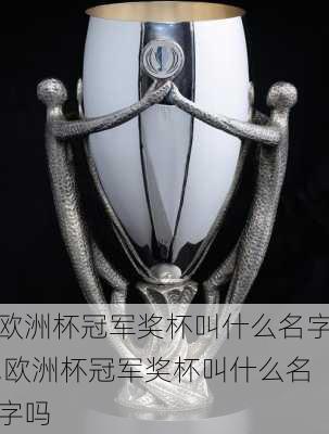 欧洲杯冠军奖杯叫什么名字,欧洲杯冠军奖杯叫什么名字吗