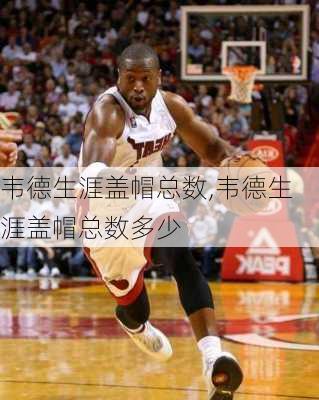 韦德生涯盖帽总数,韦德生涯盖帽总数多少