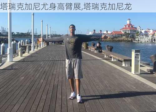 塔瑞克加尼尤身高臂展,塔瑞克加尼龙