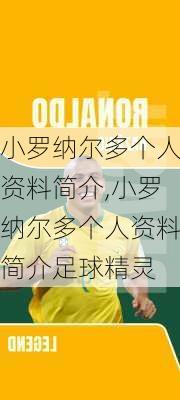 小罗纳尔多个人资料简介,小罗纳尔多个人资料简介足球精灵