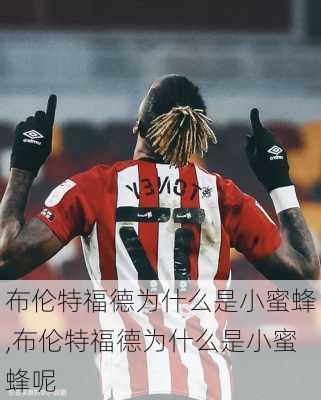 布伦特福德为什么是小蜜蜂,布伦特福德为什么是小蜜蜂呢