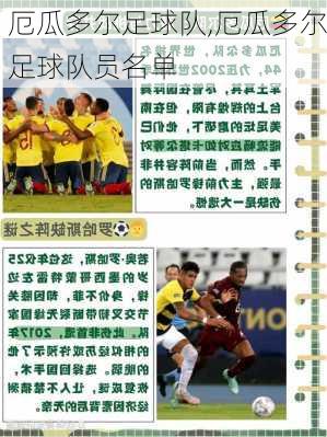 厄瓜多尔足球队,厄瓜多尔足球队员名单